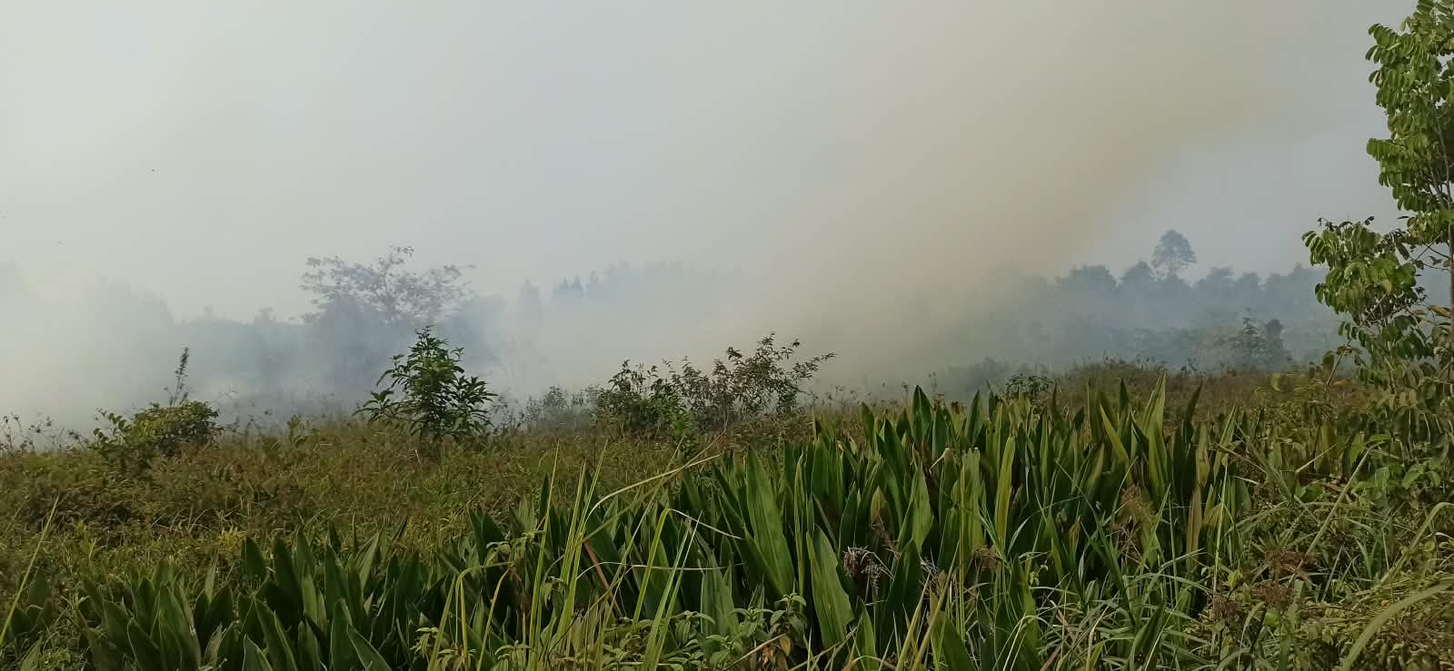 berita-image